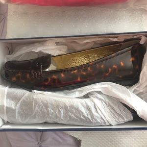 Aperture top sider: wellfleet tortoise patent